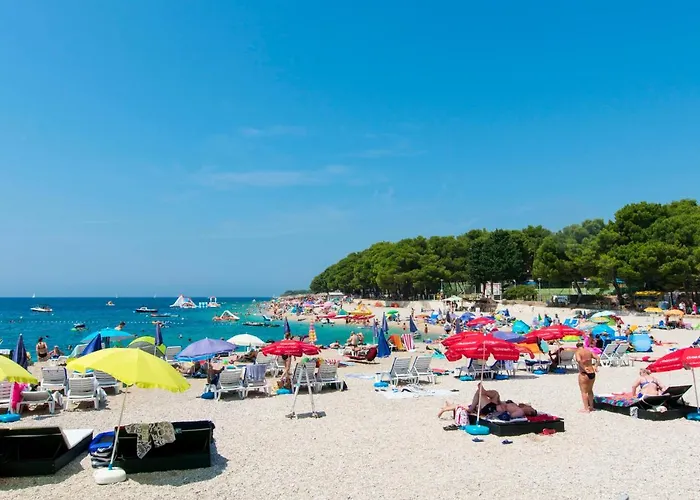 Barica 프리모스턴